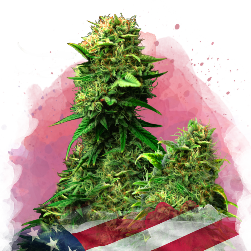 Test Product 3 - Nirvana Shop