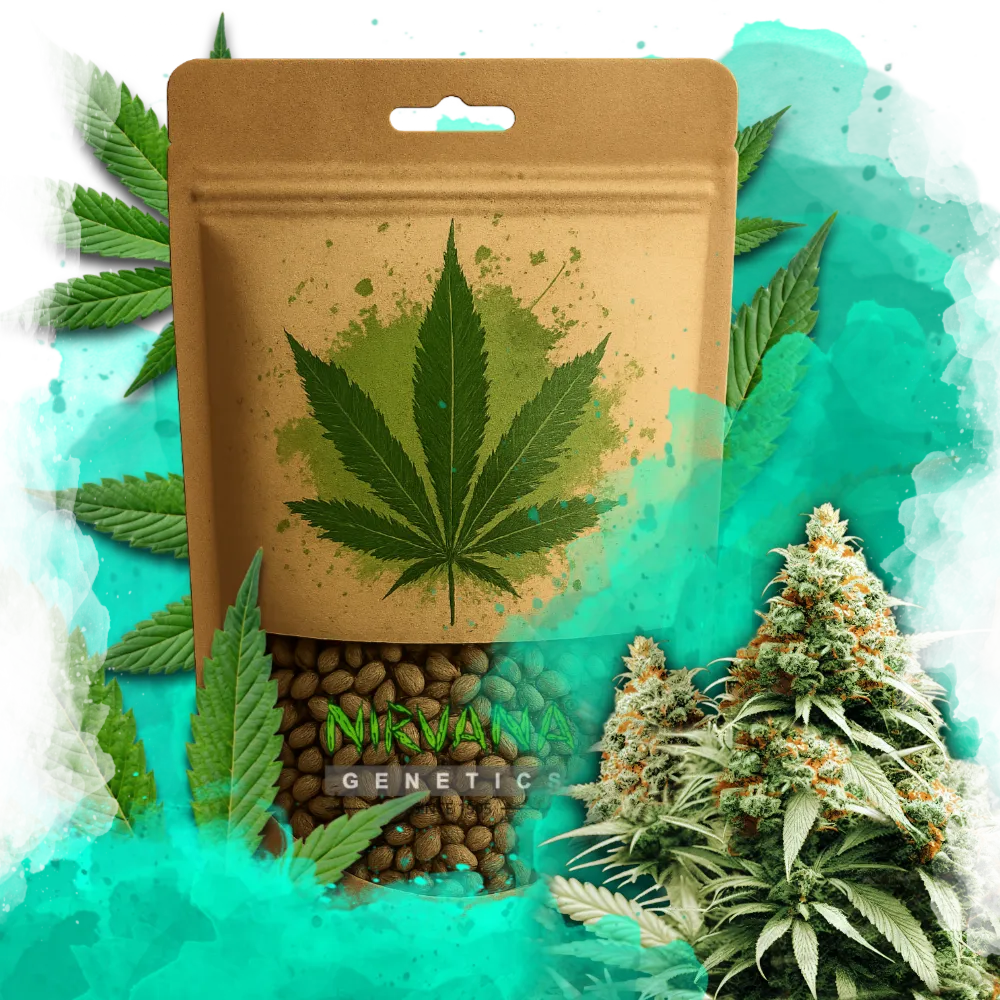 Exodus Cheese Feminized 100 Seeds