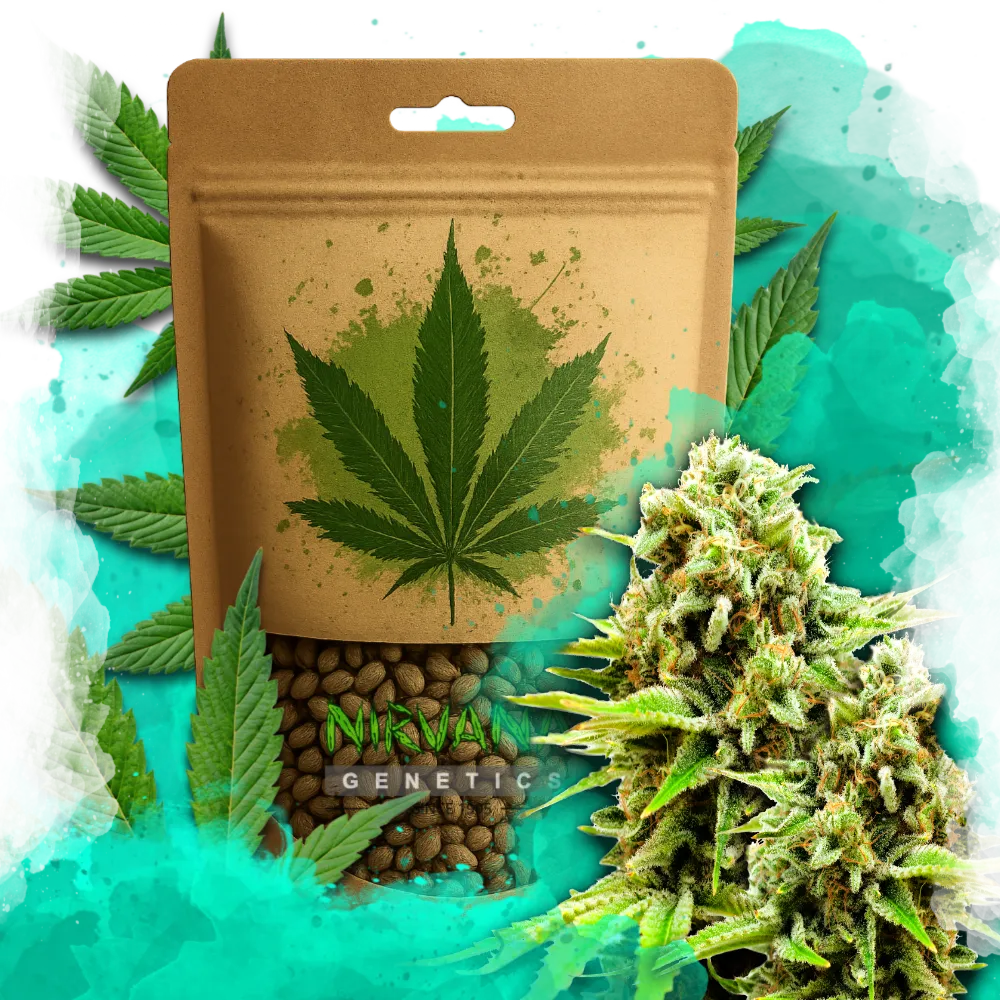 Green Poison Feminized 100 Seeds