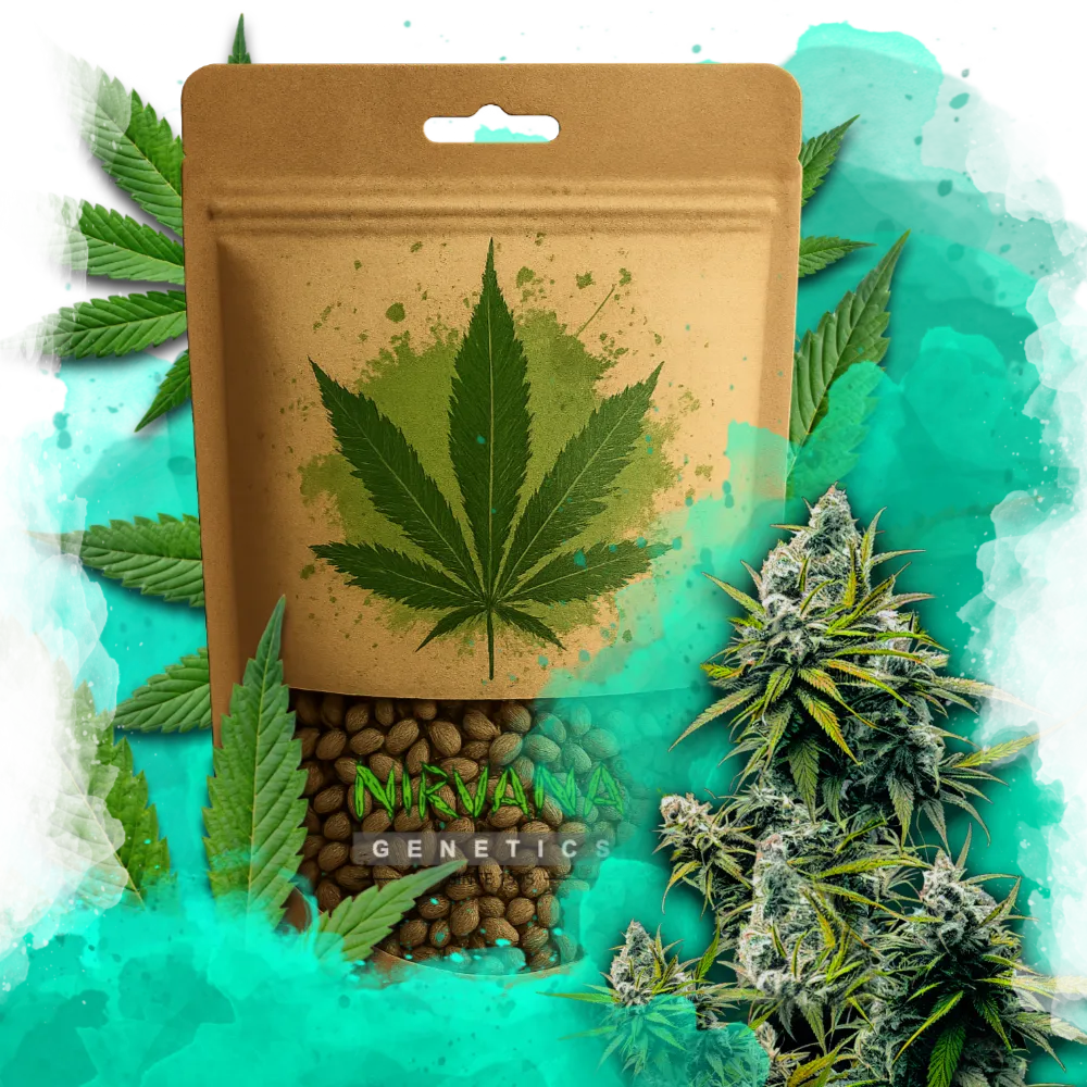 Lemon OG Haze Autoflower 100 Seeds