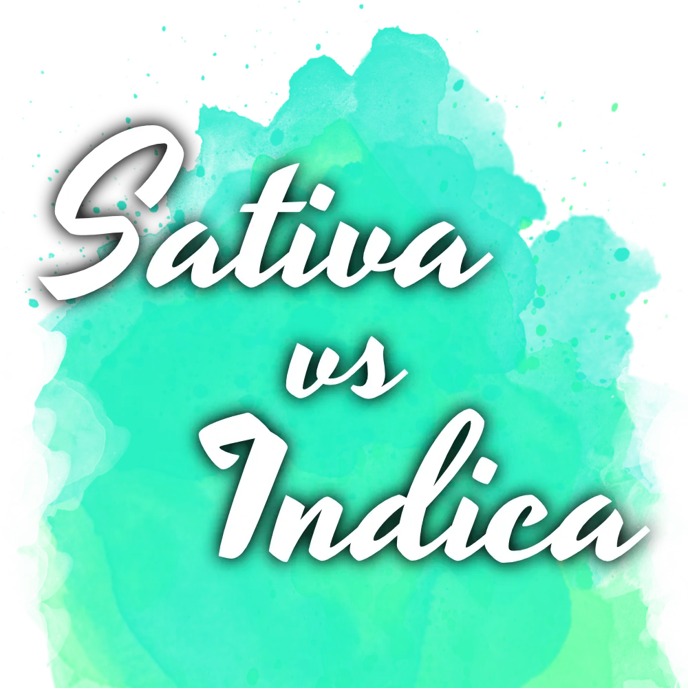 Sativa vs Indica Starter Pack