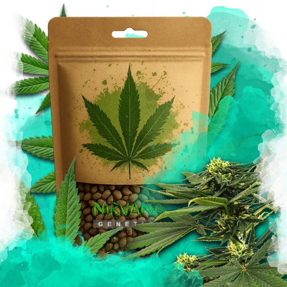 Sour Diesel Feminized 100 Seeds