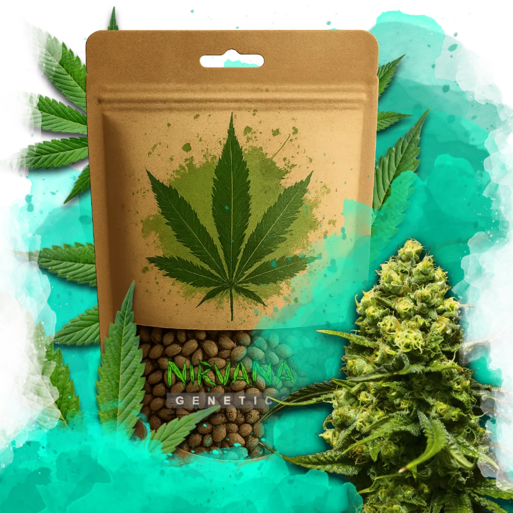 Trainwreck Feminized 100 Seeds