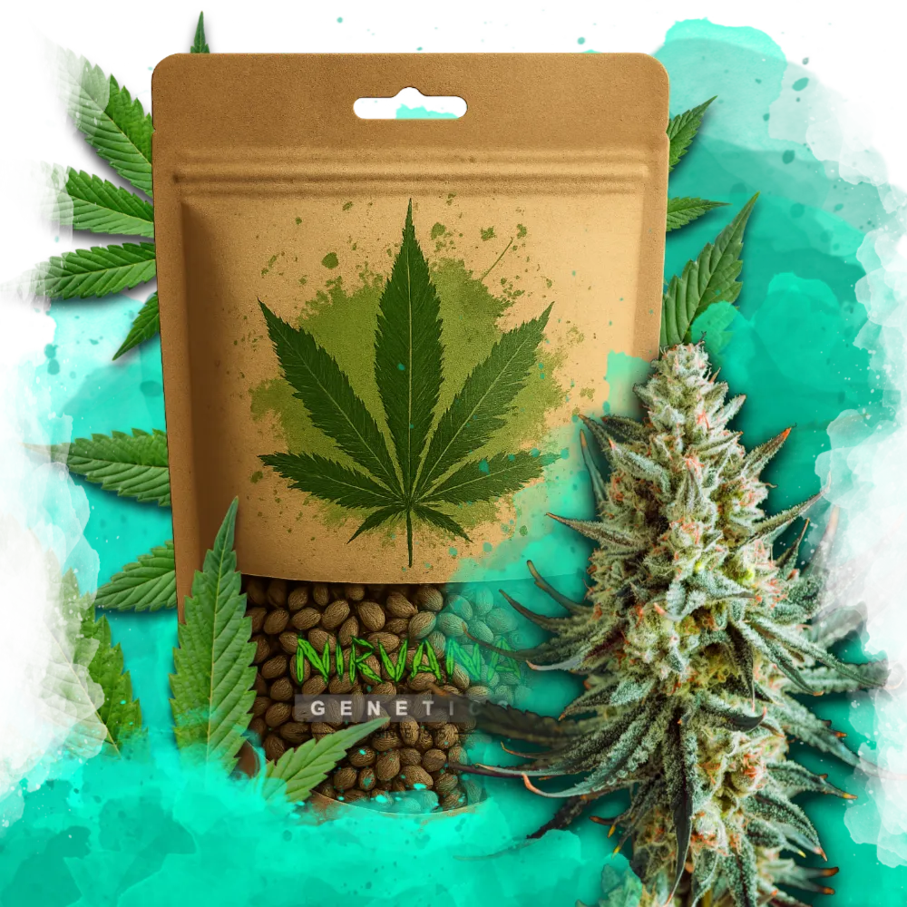 Wedding Cake Feminized 100 Seeds