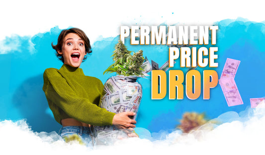 Big News! Permanent Price Drop on Your Favorite Products! 🎉