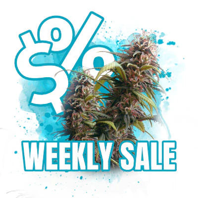 Weekly Sale