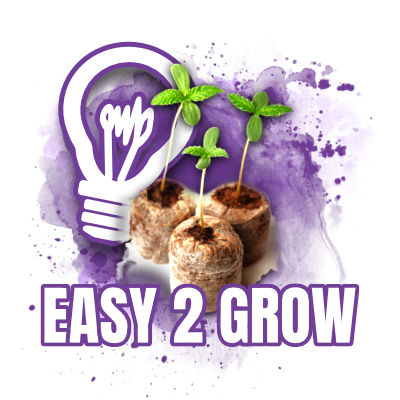 Easy 2 grow