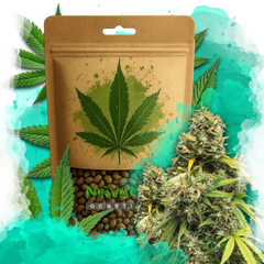 5 Alive Feminized 100 Seeds