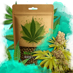 AK-48 Autoflower 100 Seeds