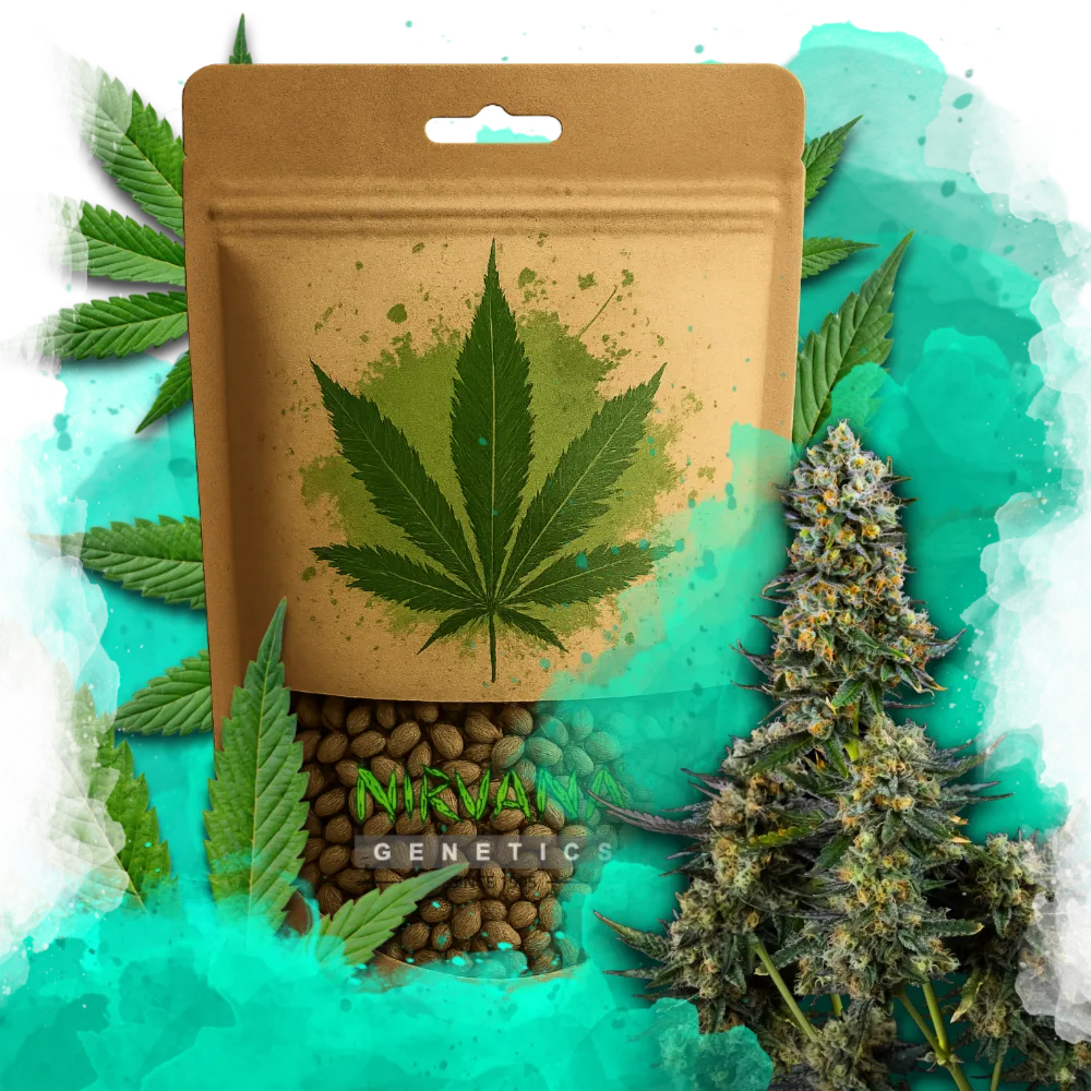 Chemdog Feminized 100 Seeds