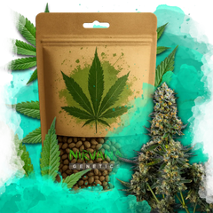 Chemdog Feminized 100 Seeds