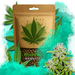 Cherry Wine v2 CBD Feminized 100 Seeds