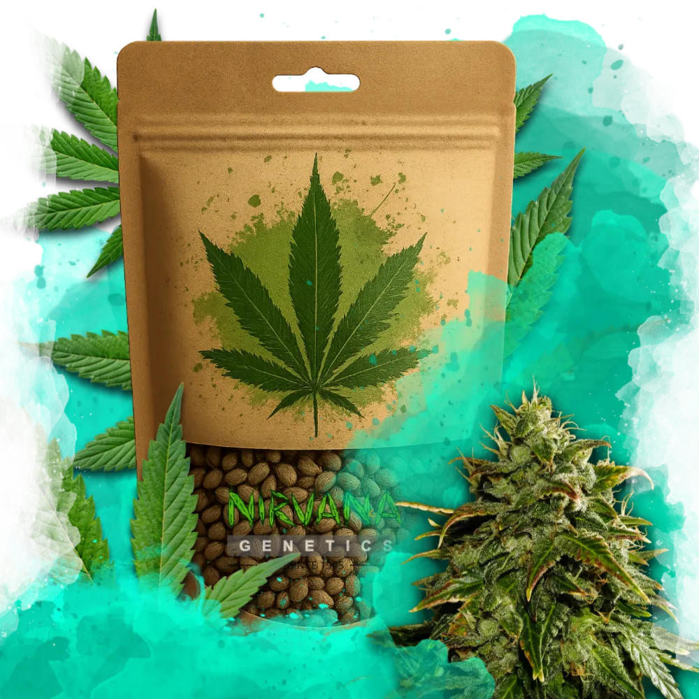 Cookies & Cream Feminized 100 Seeds