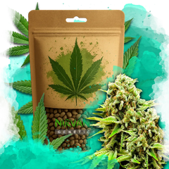 Green Poison Feminized 100 Seeds