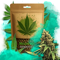 Lemon OG Haze Feminized 100 Seeds