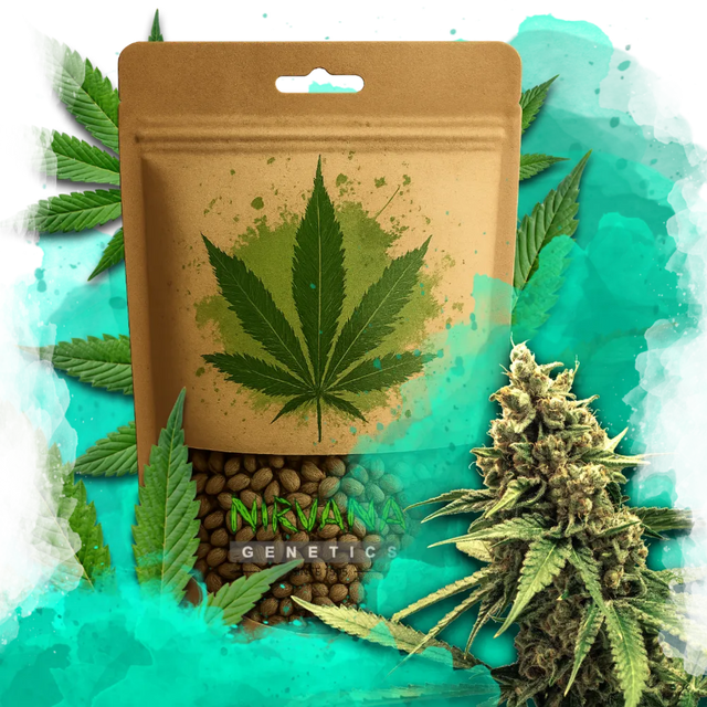 Lemon OG Haze Feminized 100 Seeds