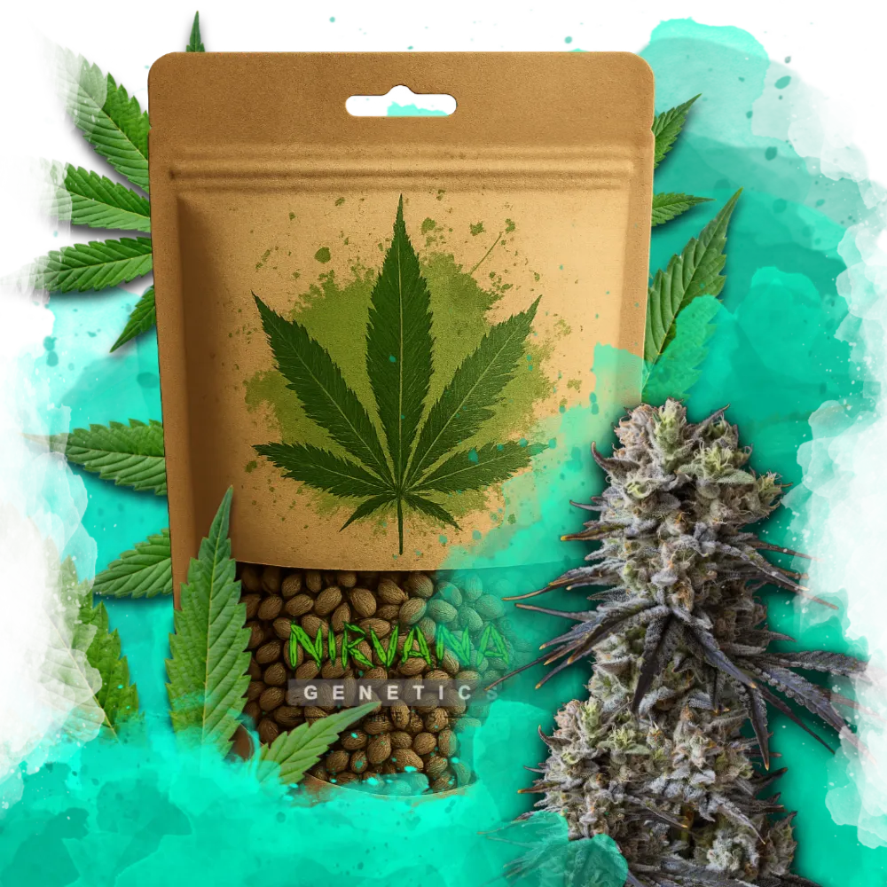 Lithium OG Kush Autoflower 100 Seeds