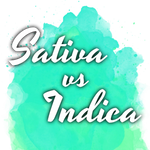 Sativa vs Indica Starter Pack
