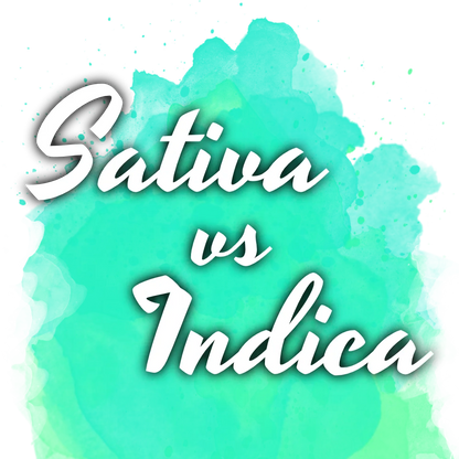 Sativa vs Indica Starter Pack