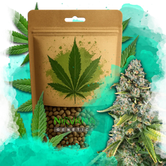 Skunk #1 Feminized 100 Seeds