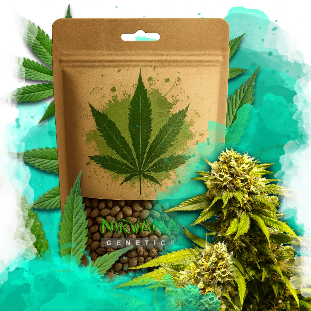 Super Skunk Feminized 100 Seeds