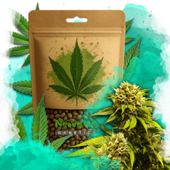 Super Skunk Feminized 100 Seeds