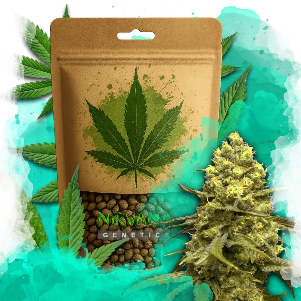 Sweet Tooth Feminized 100 Seeds