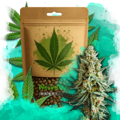 Wedding Cake Feminized 100 Seeds