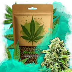 White Widow Autoflower 100 Seeds