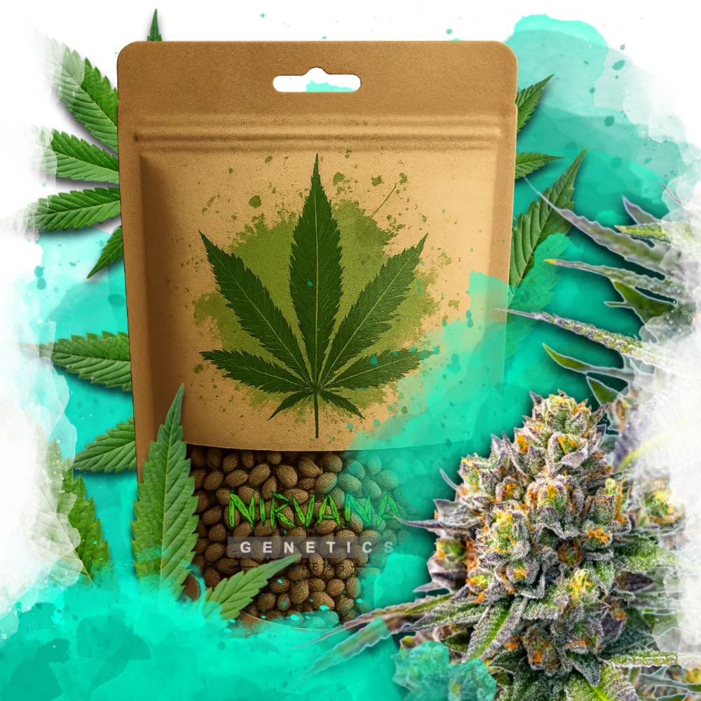 Zkittlez Autoflower 100 Seeds