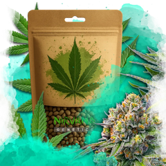 Zkittlez Autoflower 100 Seeds