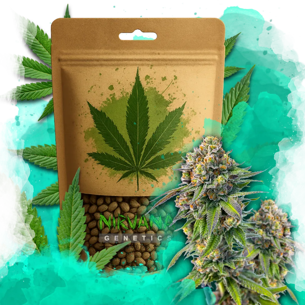 Zkittlez Feminized 100 Seeds