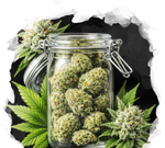 High Yielding Starter Pack