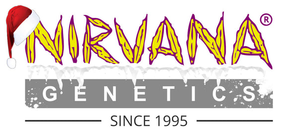 Nirvana Shop